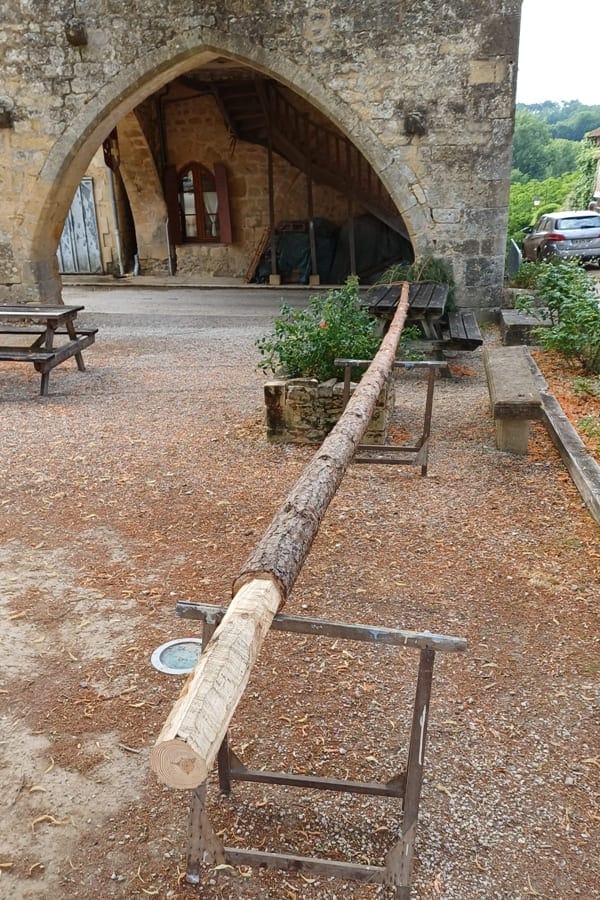 Préparation du mai communal à Molières