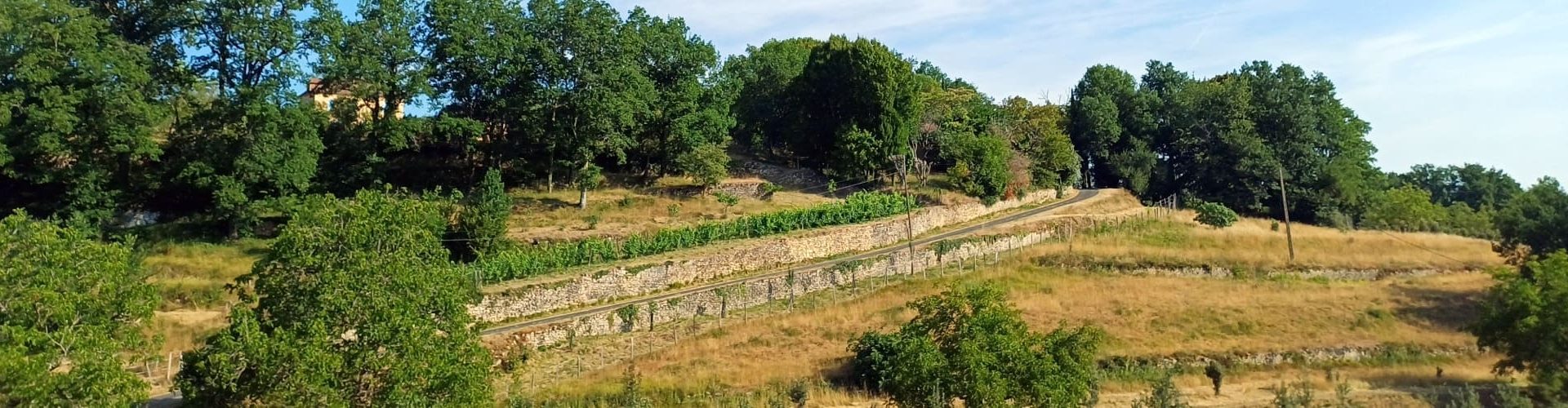 Murets en pierre sèche à Molières
