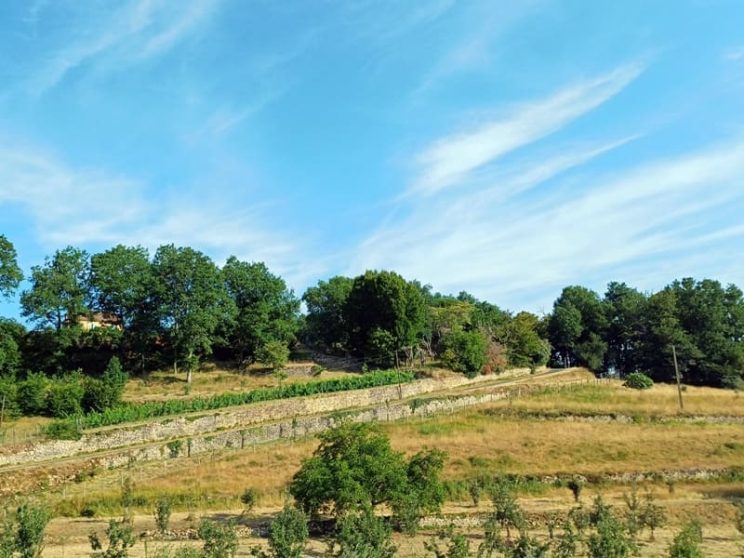 Mur de soutènement à Molières : Caminade