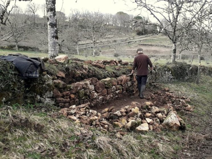 Restauration d'un muret de séparation, promenade des Potagers - Molières